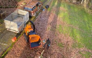 évacuation après broyage des souches