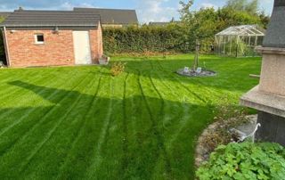 plantation de pelouse