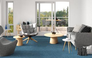 salon avec moquette bleu foncé