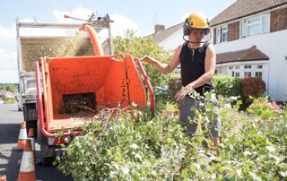 évacuation déchets verts