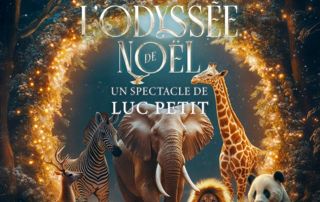 Affiche L'Odyssée de Noël