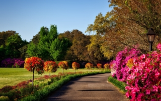 parc balande printemps Comment se faire plaisir avec le retour du printemps ?