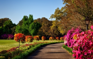 Comment se faire plaisir avec le retour du printemps ?