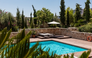 piscine enterrée avec des arbres en fond